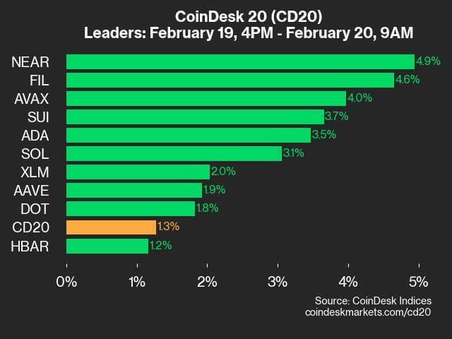 9am CoinDesk 20 Update for 2025-02-20: leaders chart