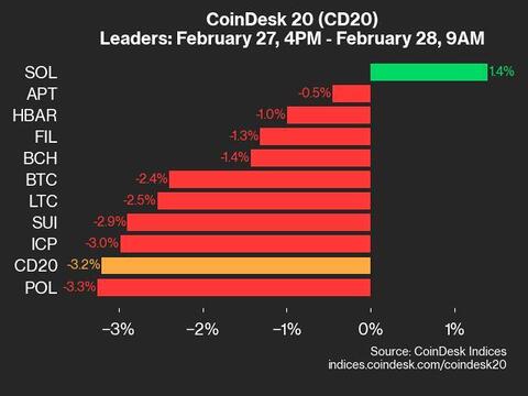 9am CoinDesk 20 Update for 2025-02-28: leaders chart