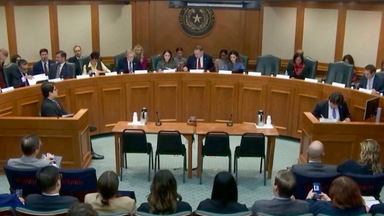 Texas state senate's Business and Commerce Committee