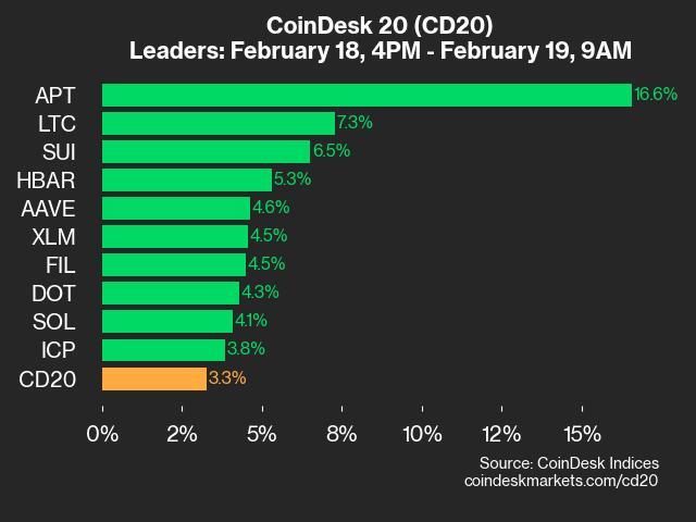 9am CoinDesk 20 Update for 2025-02-19: leaders chart