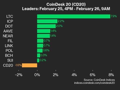 9am CoinDesk 20 Update for 2025-02-26: leaders chart