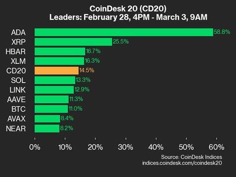 9am CoinDesk 20 Update for 2025-03-03: leaders chart