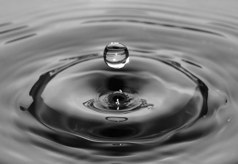 Drop (Skitterphoto/Pixabay)