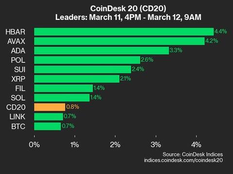 9am CoinDesk 20 Update for 2025-03-12: leaders chart