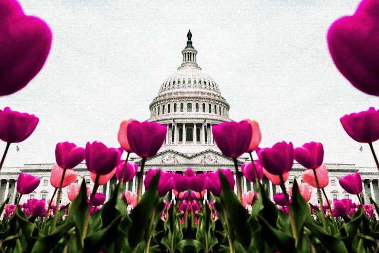 United States Capitol Building in Washington D.C (ElevenPhotographs/Unsplash, modified by CoinDesk)