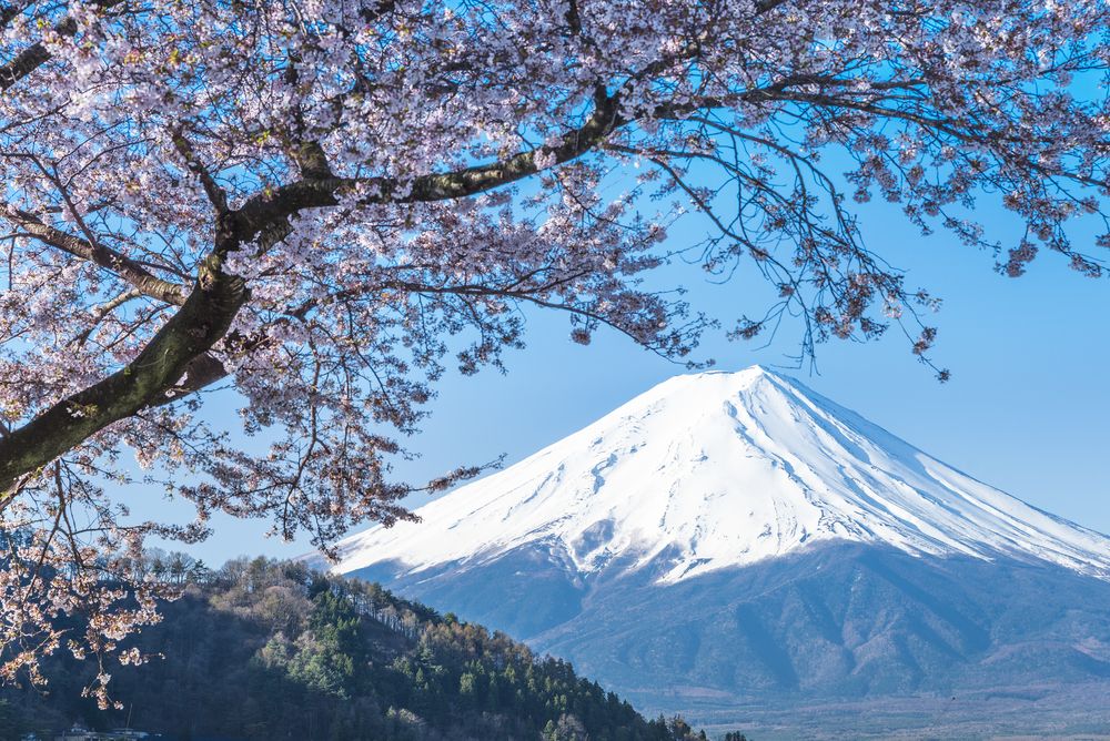 japan (CoinDesk archives)